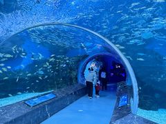 -海合安成都极地海洋公园