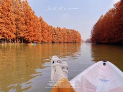 -上海海湾国家森林公园