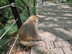 -苏州上方山国家森林公园