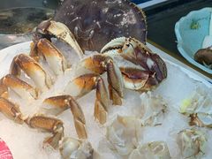 -田园肥牛鲍鱼先生(新北店)