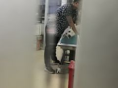 -爱侣宠医·鹦鹉专科·小型哺乳类·异宠专科(灵石路店)