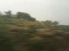 -岣嵝峰国家森林公园