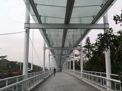 通往酒店的天桥-蓝楹湾度假酒店
