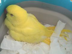 -雨林宠物医院 非犬猫异宠专科