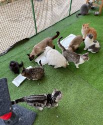 -萌宠亲子动物乐园(槐房万达店)