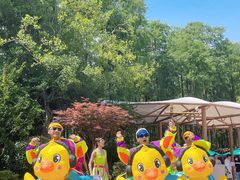 -武汉玛雅海滩水公园