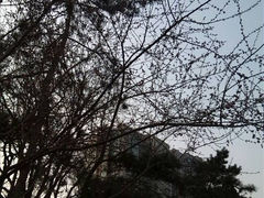 -紫竹院公园冰场