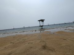 -碧海金沙