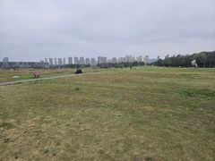 -洋湖国家湿地公园