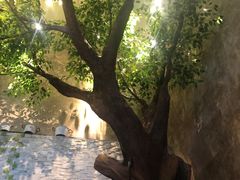 -永安鱼庄·镇江菜(丁卯店)