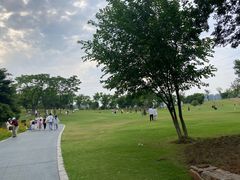 -盘龙城国家考古遗址公园