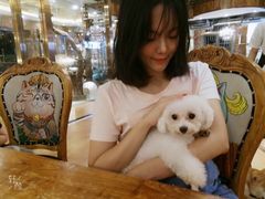 -more than meow吴止猫主题餐厅(承德 中船汇店)