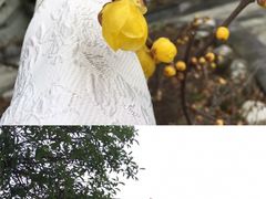 -南京市江宁方山