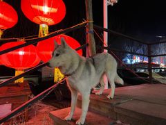 -爱新觉罗福臨火锅馆(万科滑雪场店)