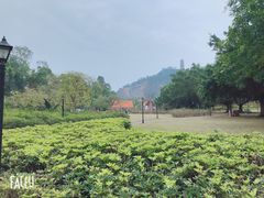 -南沙天后宫景区
