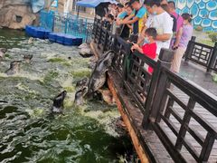 -华夏文旅海洋公园