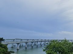 -添福来墨鱼饺子 · 海鲜东北菜(大连星海·黄浦路店)