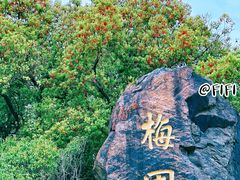 -无锡梅园公园