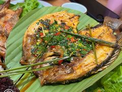 -沐毫傣泐云南菜孔雀宴•手抓饭傣味烧烤(曼听公园店)