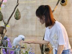 -天虹购物中心(石路店)