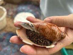 -兰坡海鲜市场