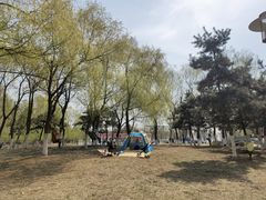 -莫子山公园