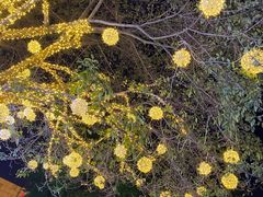 -阳光院坝小龙虾(红牌楼店)