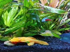 -上海海洋水族馆