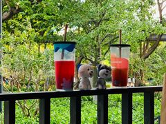 -星巴克(深圳侨城街店)