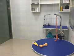 -佳雯宠物医院(金华南路分院)