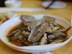 蛏子-合家小菜餐馆(新诚花苑店)