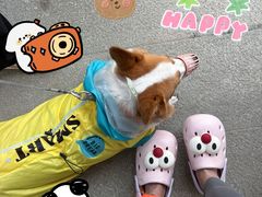 -安吉龙王山峡谷漂流