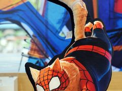 -Sony Store 索尼(上海淮海中路店)