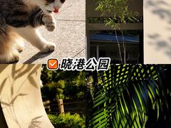 -晓港公园