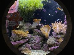 -杭州海底世界