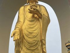 -庐山风景名胜区-东林大佛