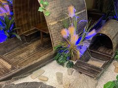 -井水小厨·湘菜(活力广场店)