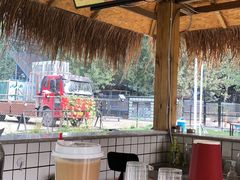 -爪吧宠物乐园·宠物泳池(温榆河示范区店)