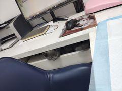 -福州肆爪动物医院