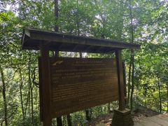-青城山