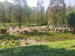 -重庆彩云湖湿地公园