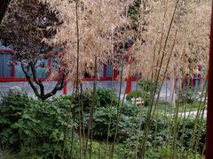 -有喜胶东小馆(超极合生汇太申祥和店)