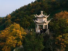 -树山生态村
