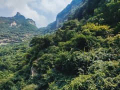 -少华山国家森林公园