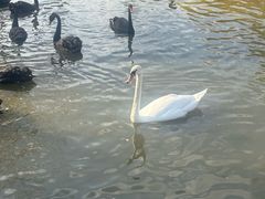 -鄂尔多斯野生动物园