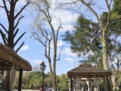 -醉了的船Le Bateau Ivre(温江店)