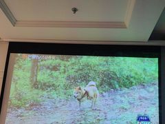 -秘境影院式酒店(苏州平江万达广场店)