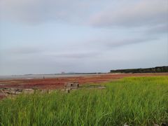 -辽宁团山国家级海洋公园