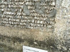 -小洲村