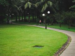 -荔香公园